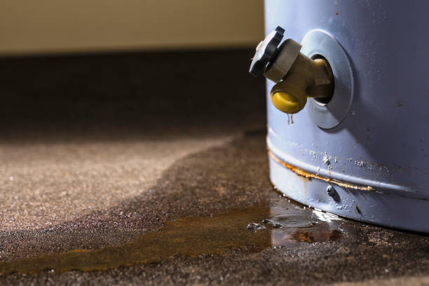 Best Fire Damage Restoration  in Tamiami, FL
