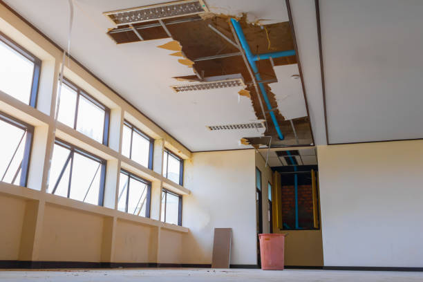 Best Commercial water damage restoration  in Tamiami, FL