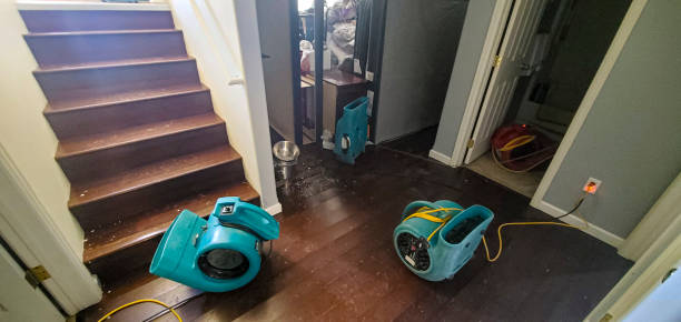 Best Water damage cleanup near me  in Tamiami, FL