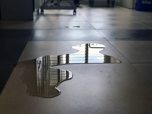 Best Water damage restoration near me  in Tamiami, FL