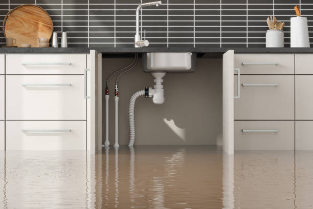 Best Ceiling water damage repair  in Tamiami, FL
