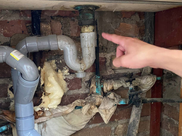 Sewage cleanup and water damage restoration in Tamiami, FL
